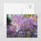 Cherry Blossom Briefkaart (Voorkant / Achterkant)