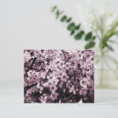Cherry Blossom Briefkaart (Staand voorkant)