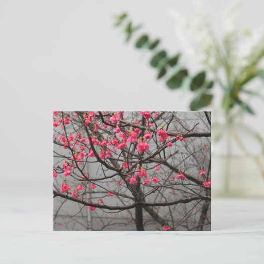 Cherry Blossom Briefkaart (Staand voorkant)
