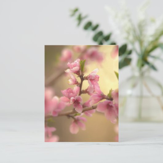 Cherry Blossom Briefkaart (Staand voorkant)