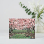 Cherry Blossom Briefkaart (Staand voorkant)