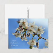 Cherry Blossom Briefkaart (Voorkant / Achterkant)