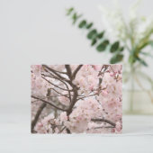 Cherry Blossom Briefkaart (Staand voorkant)