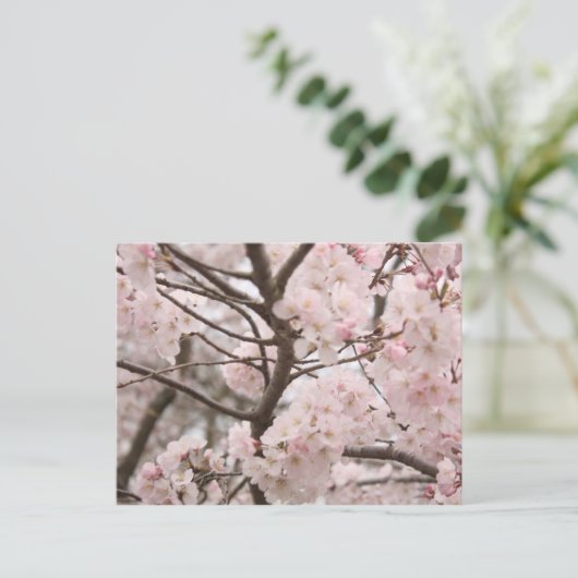 Cherry Blossom Briefkaart (Staand voorkant)
