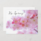Cherry Blossom Briefkaart (Voorkant / Achterkant)