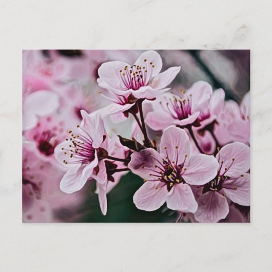 Cherry Blossom Briefkaart (Voorkant)