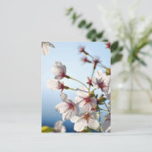 Cherry Blossom Briefkaart (Staand voorkant)