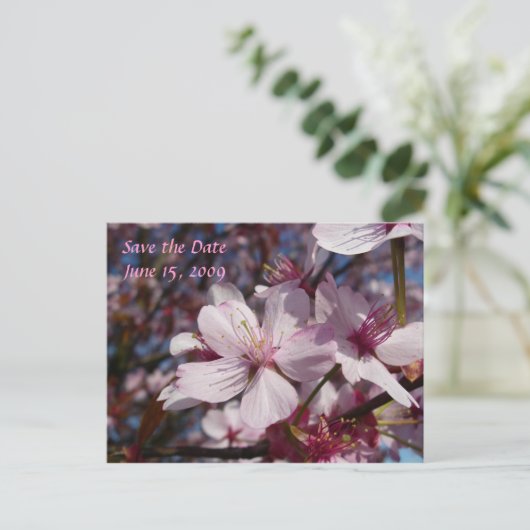 Cherry Blossom Briefkaart (Staand voorkant)