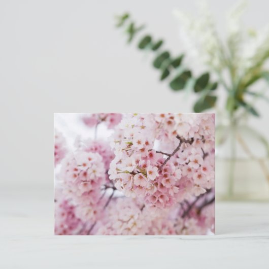 Cherry Blossom Briefkaart (Staand voorkant)