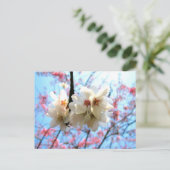 Cherry blossom - Briefkaart (Staand voorkant)