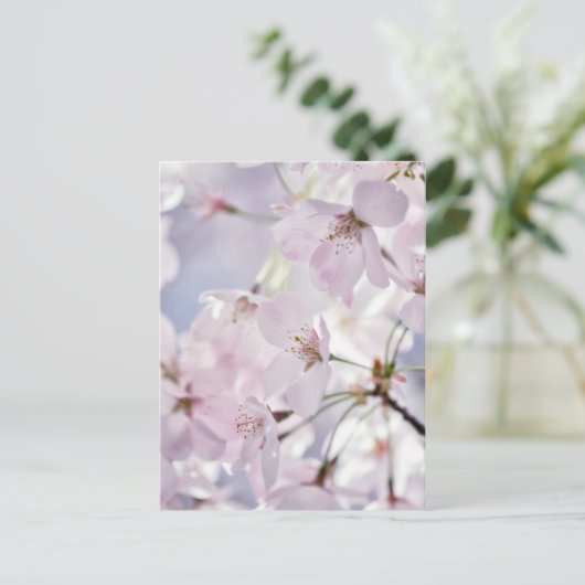 Cherry Blossom Briefkaart (Staand voorkant)