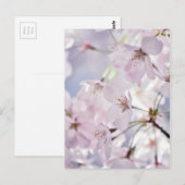 Cherry Blossom Briefkaart (Voorkant / Achterkant)