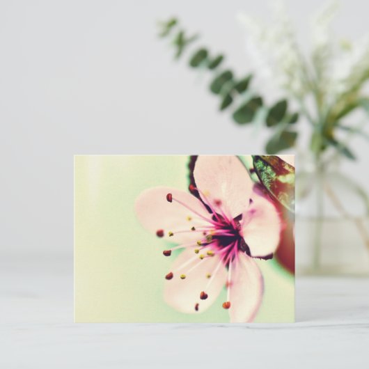 Cherry Blossom Briefkaart (Staand voorkant)