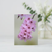 Cherry Blossom Briefkaart (Staand voorkant)