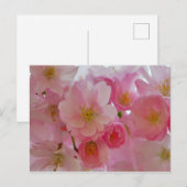 Cherry Blossom Briefkaart (Voorkant / Achterkant)