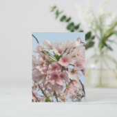Cherry Blossom Briefkaart (Staand voorkant)