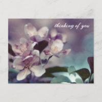 Cherry Blossom Briefkaart 1