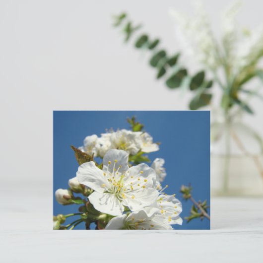 Cherry Blossom briefkaarten Service Promotion Even (Staand voorkant)