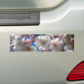 Cherry Blossom Bumpersticker (Op auto)