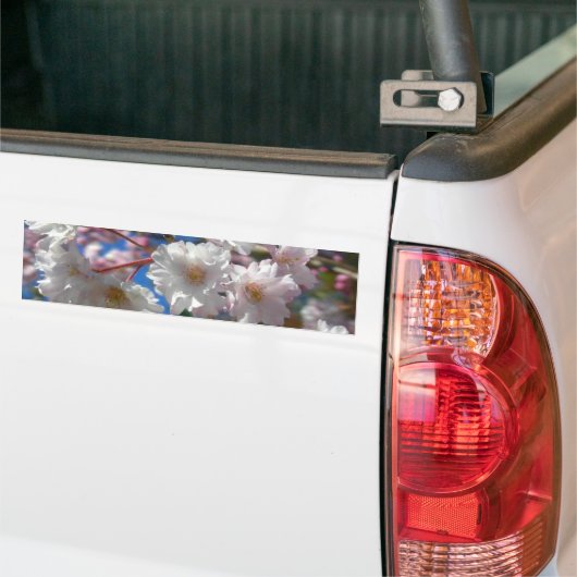 Cherry Blossom Bumpersticker (Op Truck)