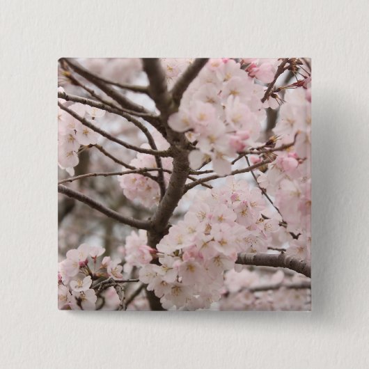 Cherry Blossom Button (Voorkant)
