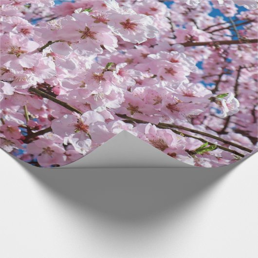 Cherry blossom cadeaupapier (Hoek)