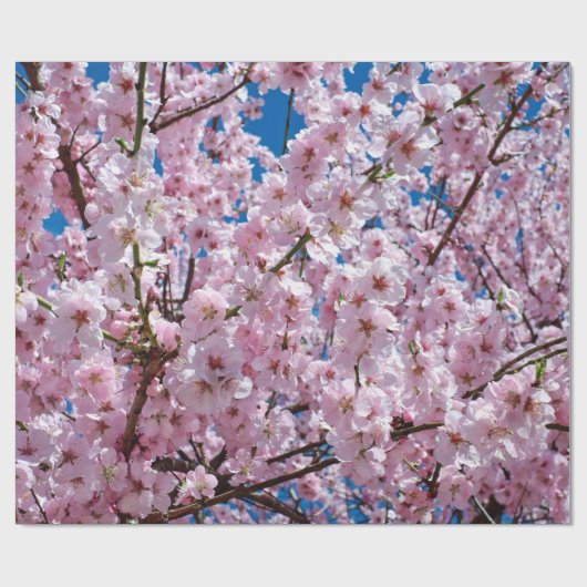 Cherry blossom cadeaupapier (Vlak)