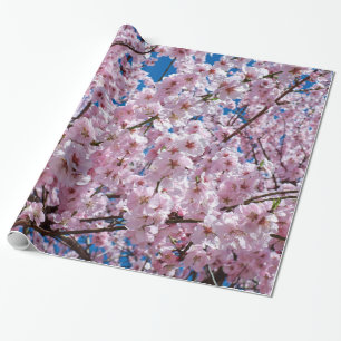 Cherry blossom cadeaupapier