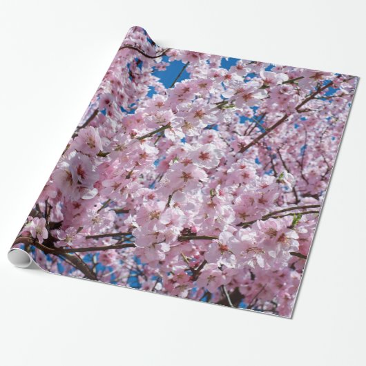 Cherry blossom cadeaupapier (Uitgerold)