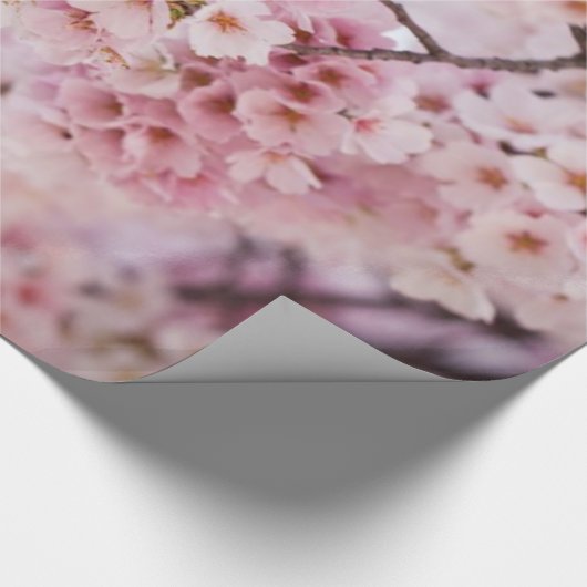 Cherry Blossom Cadeaupapier (Hoek)