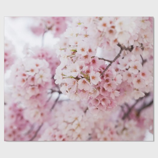 Cherry Blossom Cadeaupapier (Vlak)