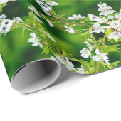 Cherry Blossom Cadeaupapier (Rol Hoek)