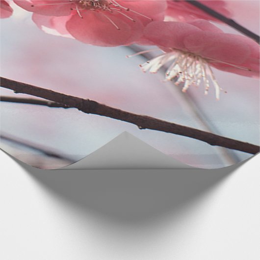 Cherry Blossom Cadeaupapier (Hoek)
