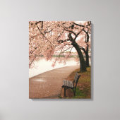 Cherry Blossom Canvas (Voorkant)