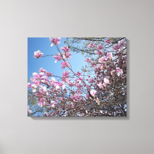 Cherry Blossom Canvas Afdruk (Voorkant)