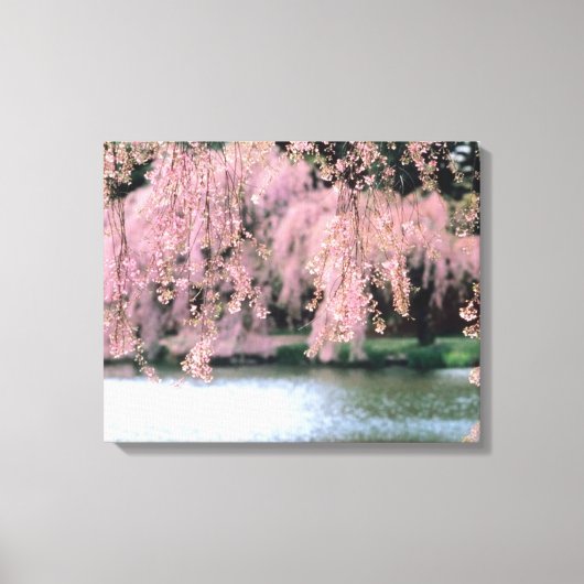 Cherry Blossom Canvas Afdruk (Voorkant)