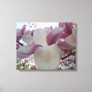 Cherry Blossom Canvas Afdruk