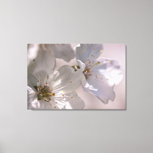 Cherry Blossom Canvas Afdruk (Voorkant)
