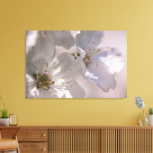 Cherry Blossom Canvas Afdruk (Insitu (Woonkamer))