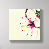 Cherry Blossom Canvas Afdruk (Voorkant)