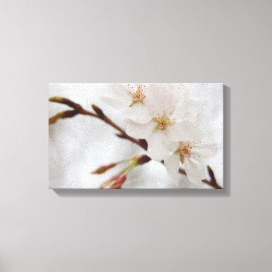 Cherry Blossom Canvas Art Afdruk (Voorkant)