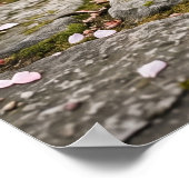 Cherry Blossom Cat Serenity Poster (Hoek)