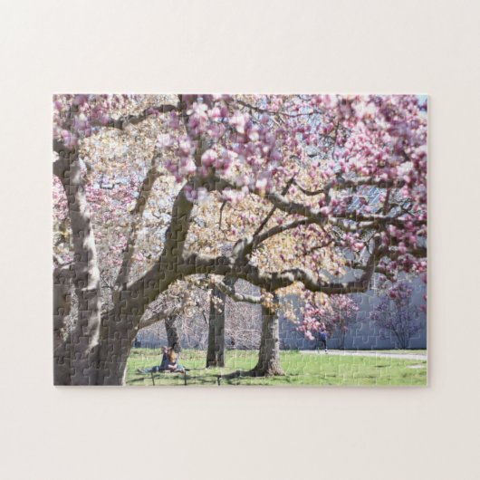 Cherry Blossom Central Park New York City NYC Legpuzzel (Horizontaal)