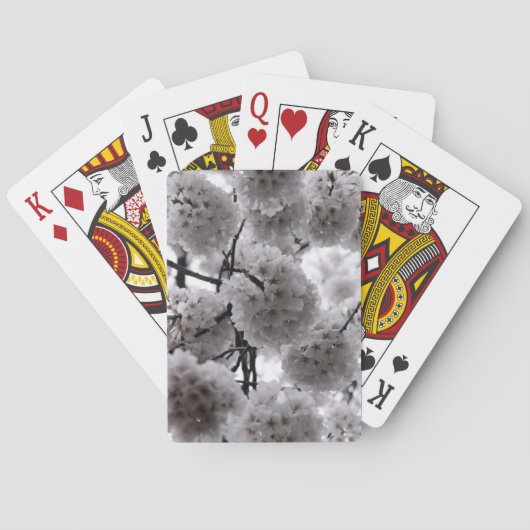 Cherry Blossom Classic Plays Pokerkaarten (Achterkant)