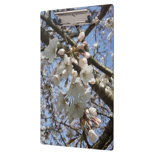 Cherry Blossom Clipboard Klembord (Links)