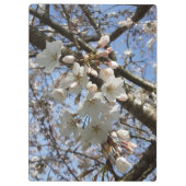 Cherry Blossom Clipboard Klembord (Achterkant)