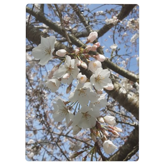Cherry Blossom Clipboard Klembord (Achterkant)