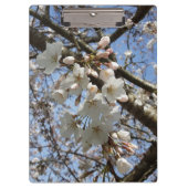 Cherry Blossom Clipboard Klembord (Voorkant)