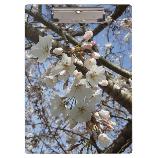 Cherry Blossom Clipboard Klembord (Voorkant)