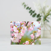 Cherry Blossom close Briefkaart (Staand voorkant)